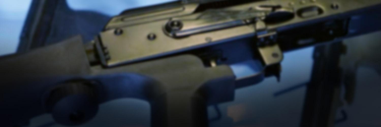 TE BANNER USED GUNS