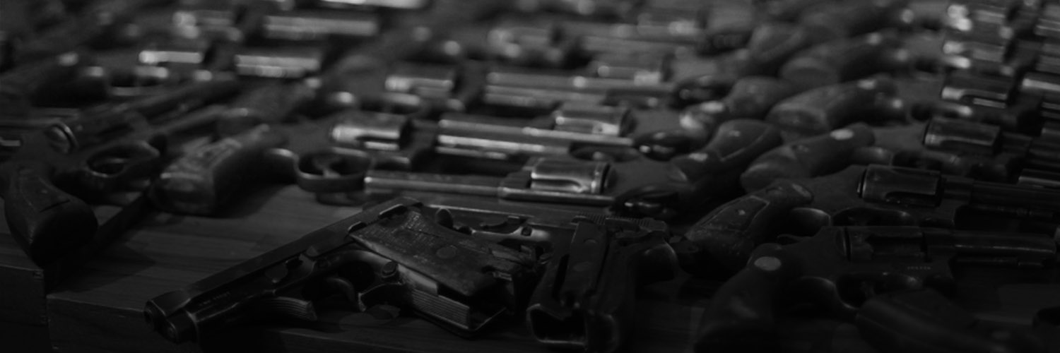 TE WEB BANNER GUNS